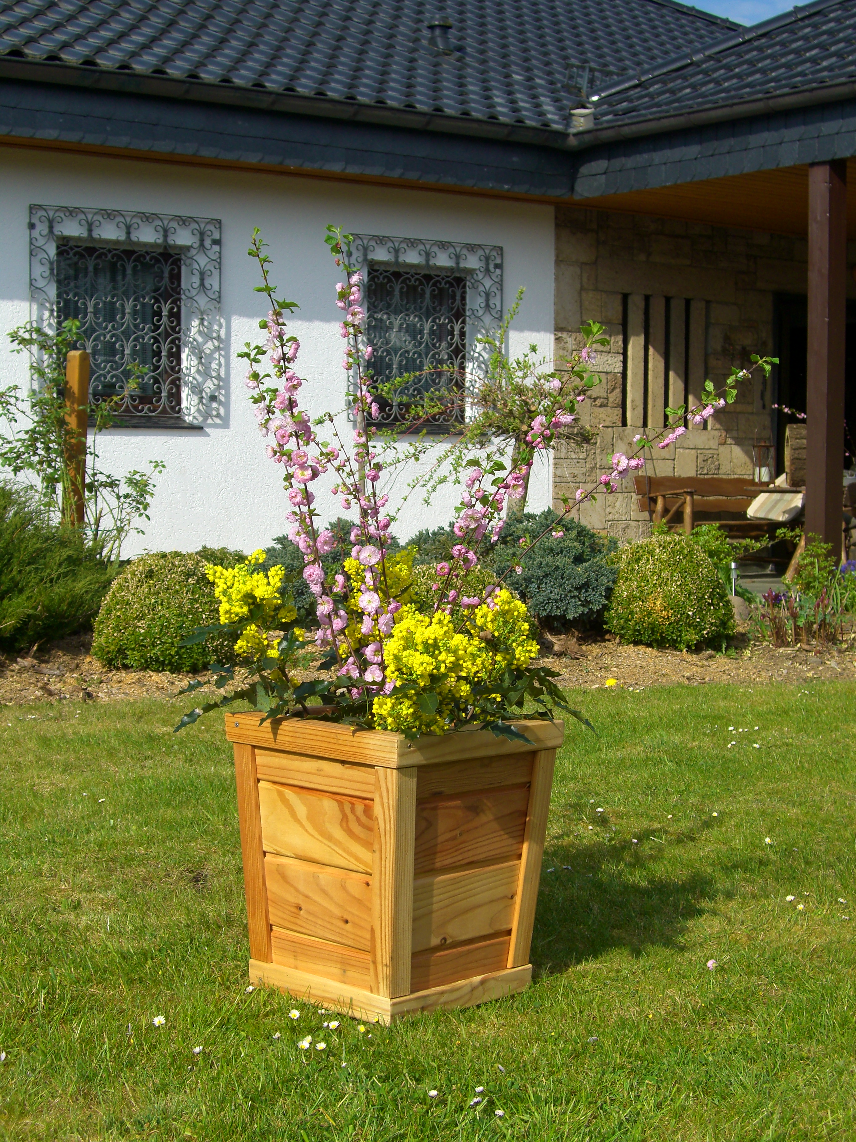 ein Blumenkasten aus Lärchenholz