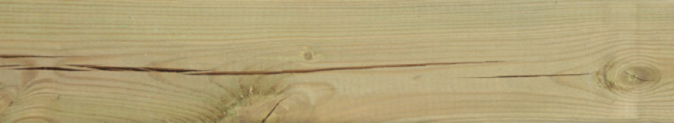 Trockenrisse und Verformungen 1